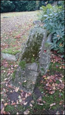 Diszbrock vorher